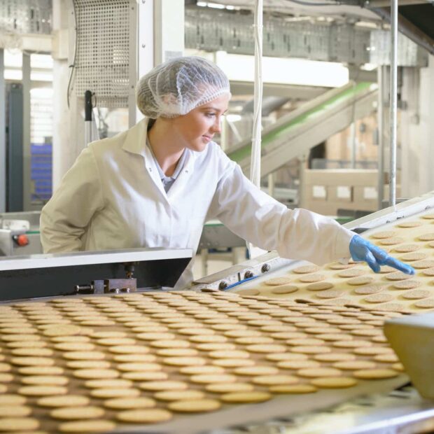alimentare-produzione